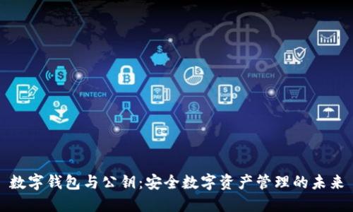 数字钱包与公钥：安全数字资产管理的未来