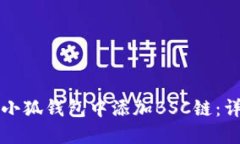 如何在小狐钱包中添加BSC链：详细指南