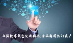 上海数字钱包使用指南：