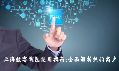 上海数字钱包使用指南：全面解析热门商户