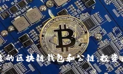 如何选择合适的区块链钱包和公链：投资者的详尽指南