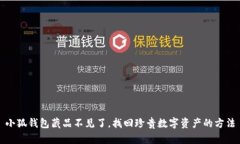 小狐钱包藏品不见了，找回珍贵数字资产的方法