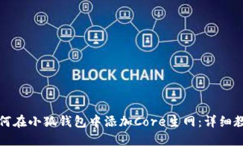 如何在小狐钱包中添加Core主网：详细教程