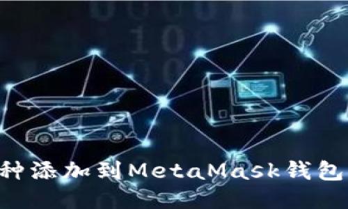 如何将币种添加到MetaMask钱包：详细指南