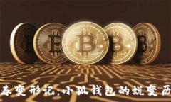   青春变形记：小狐钱包的