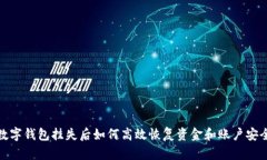 数字钱包挂失后如何高效