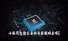 小狐钱包转出去的币能找