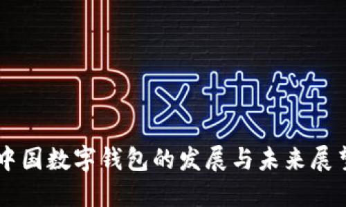 中国数字钱包的发展与未来展望