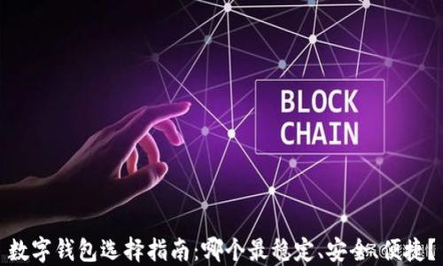 
数字钱包选择指南：哪个最稳定、安全、便捷？