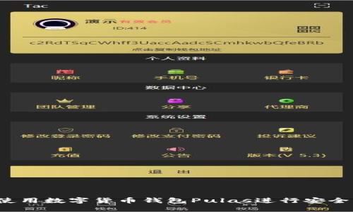 如何使用数字货币钱包Pulas进行安全交易？