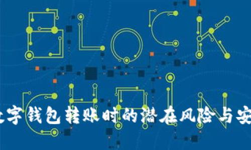 小心！数字钱包转账时的潜在风险与安全措施