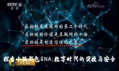 探索小狐钱包RNA：数字时