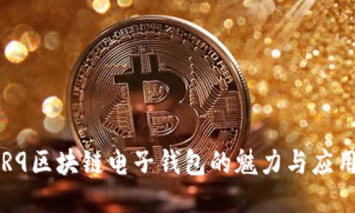 R9区块链电子钱包的魅力与应用