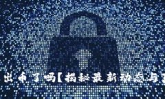 小狐钱包出币了吗？揭秘