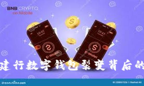 揭秘建行数字钱包裂变背后的秘密