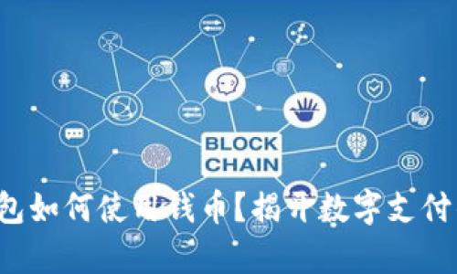 数字钱包如何使用钱币？揭开数字支付的奥秘！