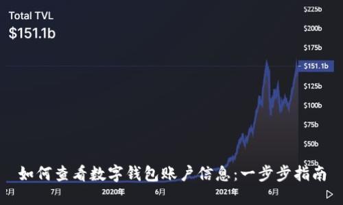 如何查看数字钱包账户信息：一步步指南