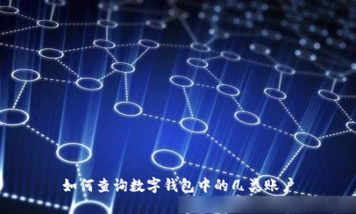 如何查询数字钱包中的几类账户