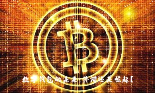 数字钱包的未来：停滞还是崛起？