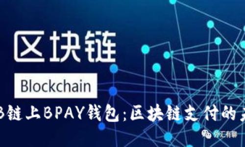 探知BNB链上BPAY钱包：区块链支付的未来之路