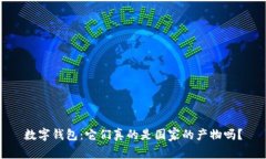 数字钱包：它们真的是国