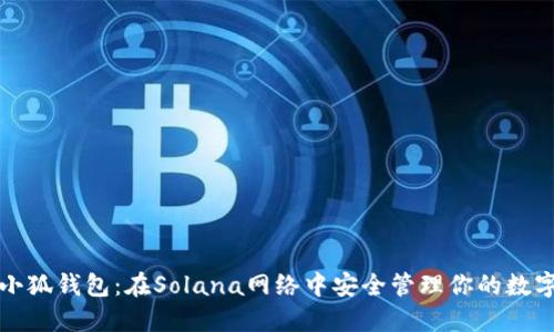 探索小狐钱包：在Solana网络中安全管理你的数字资产