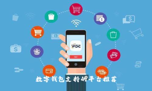 数字钱包支持的平台推荐