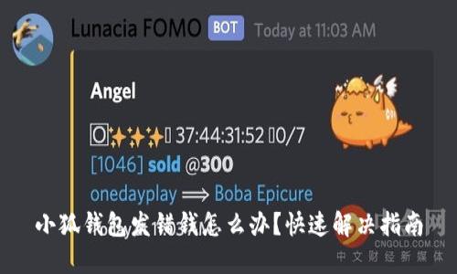 小狐钱包发错钱怎么办？快速解决指南