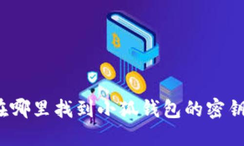 在哪里找到小狐钱包的密钥？