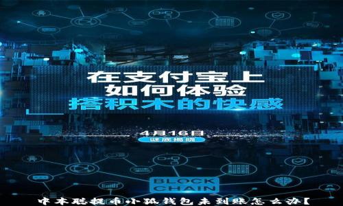 
中本聪提币小狐钱包未到账怎么办？