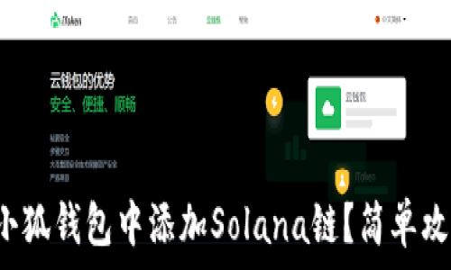   
如何在小狐钱包中添加Solana链？简单攻略指南！