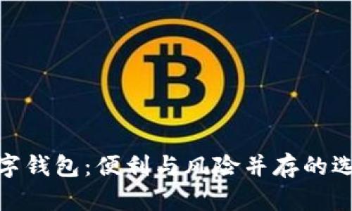 数字钱包：便利与风险并存的选择