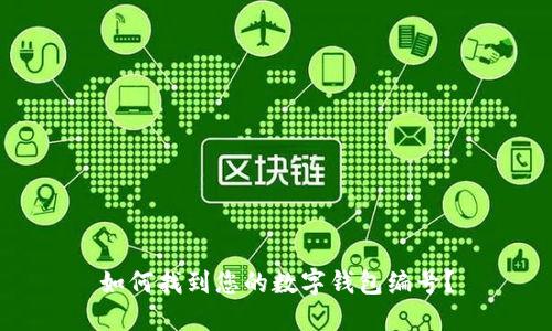 如何找到您的数字钱包编号？