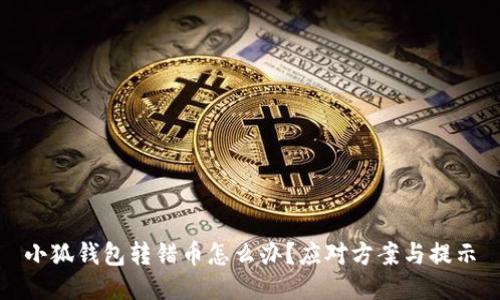 小狐钱包转错币怎么办？应对方案与提示