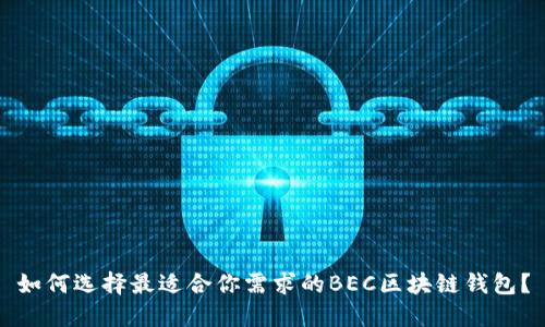 如何选择最适合你需求的BEC区块链钱包？