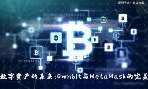 解锁数字资产的未来：Ownbit与MetaMask的完美结合
