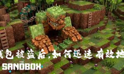 小狐钱包被盗后，如何迅速有效地处理？