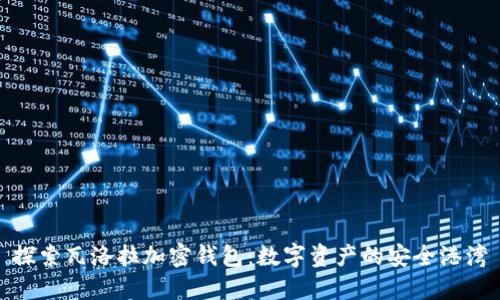 探索瓦洛拉加密钱包：数字资产的安全港湾