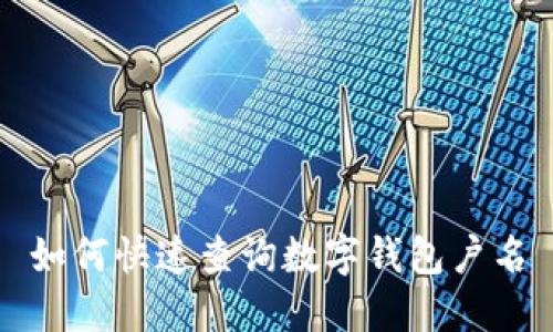 如何快速查询数字钱包户名