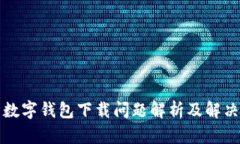 伊朗数字钱包下载问题解