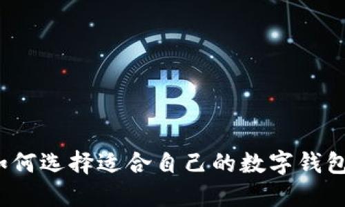如何选择适合自己的数字钱包？