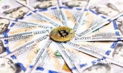 最新上市的数字币钱包：