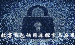 对公数字钱包的用途探索