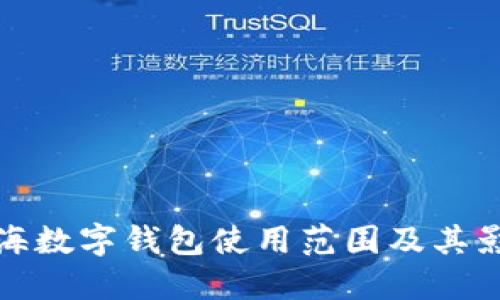 上海数字钱包使用范围及其影响