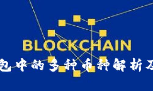 区块链钱包中的多种币种解析及使用指南