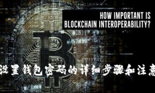 如何设置钱包密码的详细步骤和注意事项