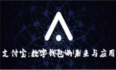 支付宝：数字钱包的未来