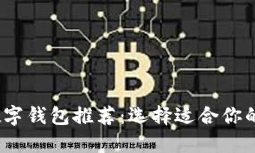 优质
2023年最佳数字钱包推荐：选择适合你的安全便捷方案