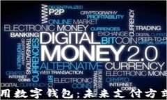 国际通用数字钱包：未来