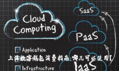 上海数字钱包消费指南：